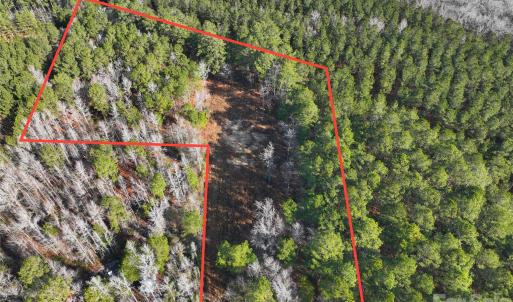 Photo #16 of Mattocks, Maysville, NC