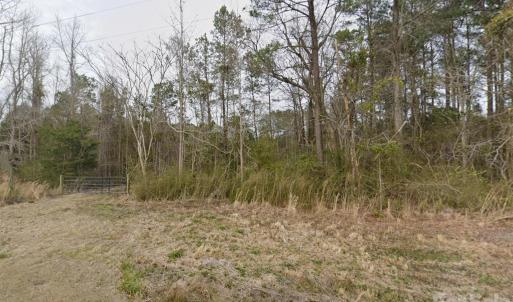 Photo #3 of Mattocks, Maysville, NC