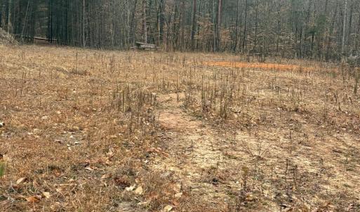 Photo #3 of 231 Creekstone, York, SC