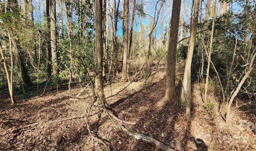 Photo #17 of Rollins, Kershaw, SC