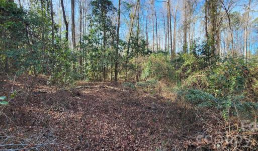 Photo #15 of Rollins, Kershaw, SC