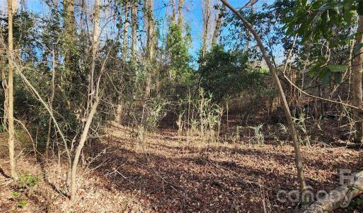 Photo #18 of Rollins, Kershaw, SC