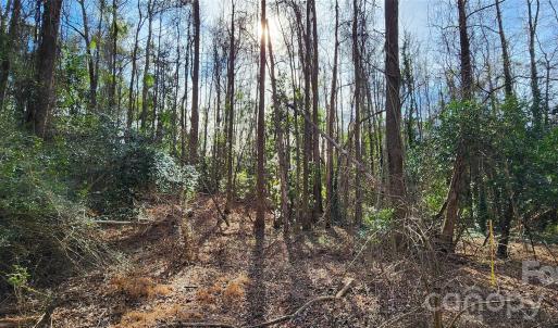 Photo #12 of Rollins, Kershaw, SC