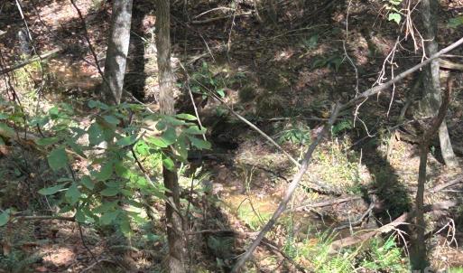 Photo #34 of 5 AC Lot 2 Ernandez, Richburg, SC