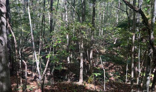 Photo #27 of 5 AC Lot 2 Ernandez, Richburg, SC