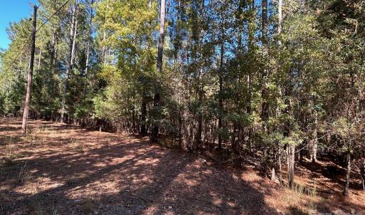 Photo #10 of 5 AC Lot 2 Ernandez, Richburg, SC