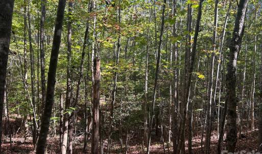 Photo #32 of 5 AC Lot 2 Ernandez, Richburg, SC