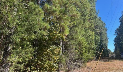Photo #16 of 5 AC Lot 2 Ernandez, Richburg, SC