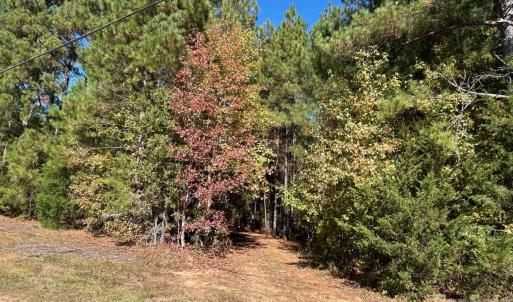 Photo #18 of 5 AC Lot 2 Ernandez, Richburg, SC