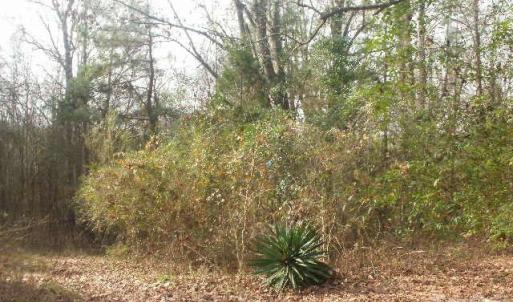 Photo #7 of 433 Parson, Wadesboro, NC