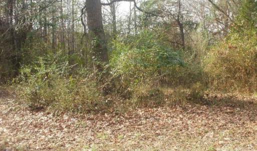 Photo #5 of 433 Parson, Wadesboro, NC