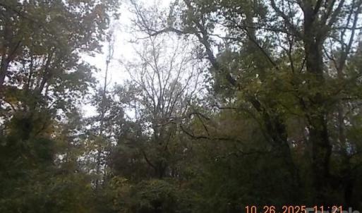 Photo #19 of 433 Parson, Wadesboro, NC