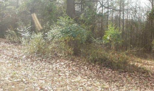 Photo #6 of 433 Parson, Wadesboro, NC