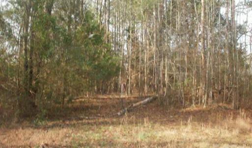 Photo #9 of 433 Parson, Wadesboro, NC