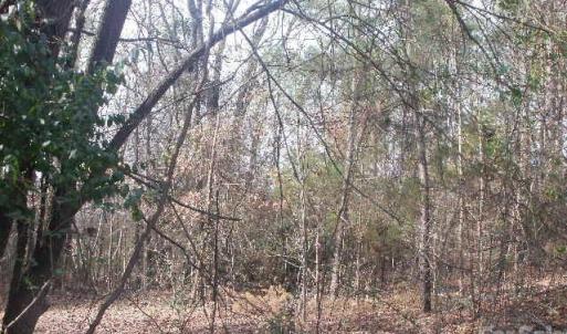 Photo #8 of 433 Parson, Wadesboro, NC