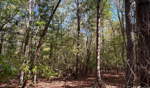Photo #19 of 5 AC Lot 3 Ernandez, Richburg, SC