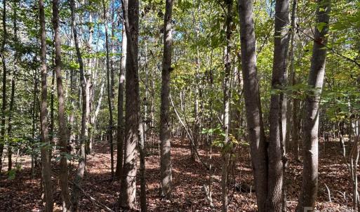 Photo #22 of 5 AC Lot 3 Ernandez, Richburg, SC