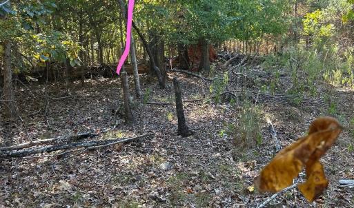 Photo #38 of 5 AC Lot 3 Ernandez, Richburg, SC