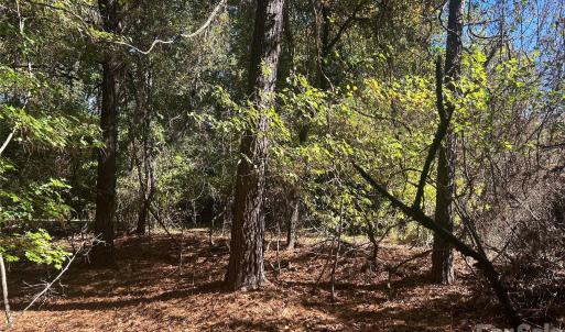 Photo #2 of 5 AC Lot 3 Ernandez, Richburg, SC