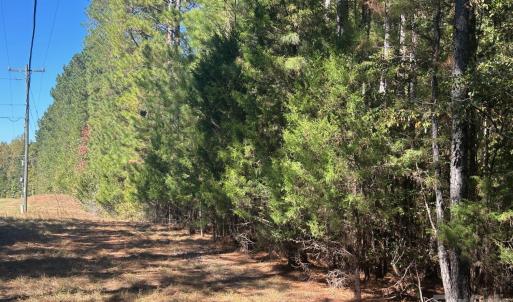 Photo #14 of 5 AC Lot 3 Ernandez, Richburg, SC