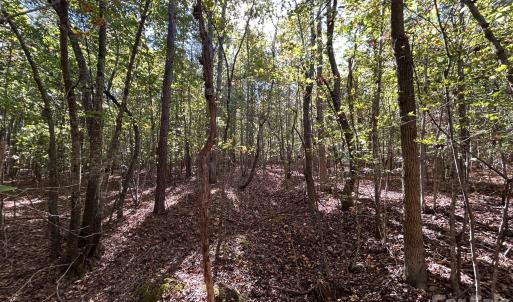 Photo #26 of 5 AC Lot 3 Ernandez, Richburg, SC