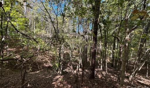 Photo #37 of 5 AC Lot 3 Ernandez, Richburg, SC