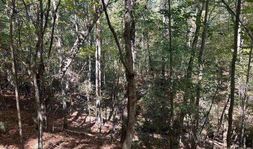 Photo #33 of 5 AC Lot 4 Ernandez, Richburg, SC