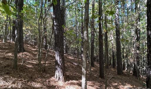 Photo #35 of 5 AC Lot 4 Ernandez, Richburg, SC