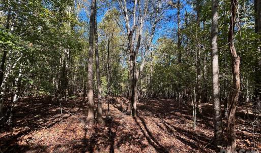Photo #24 of 5 AC Lot 4 Ernandez, Richburg, SC