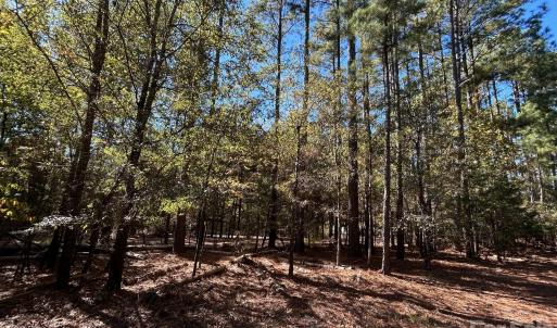 Photo #11 of 5 AC Lot 4 Ernandez, Richburg, SC
