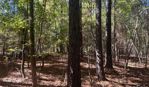 Photo #5 of 5 AC Lot 4 Ernandez, Richburg, SC