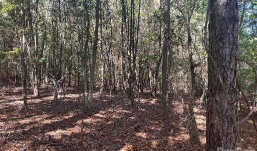 Photo #4 of 5 AC Lot 5 Ernandez, Richburg, SC