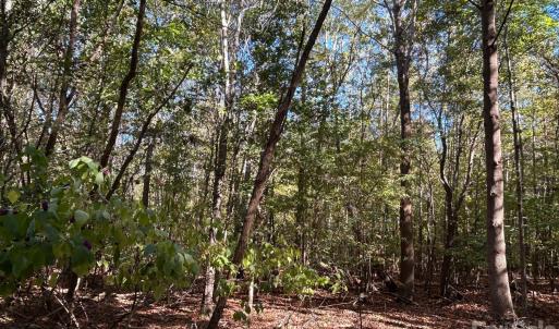 Photo #20 of 5 AC Lot 5 Ernandez, Richburg, SC