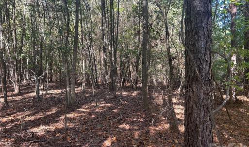 Photo #3 of 5 AC Lot 5 Ernandez, Richburg, SC