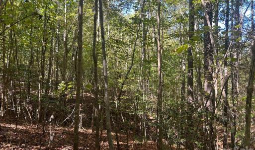 Photo #28 of 5 AC Lot 5 Ernandez, Richburg, SC