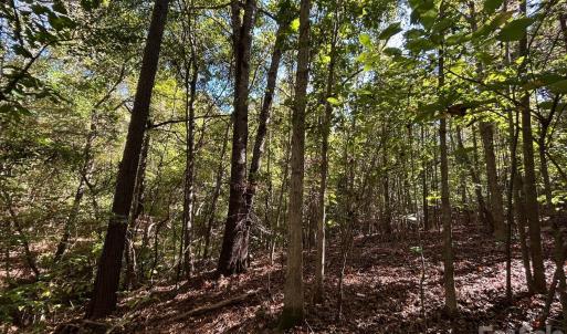 Photo #29 of 5 AC Lot 5 Ernandez, Richburg, SC