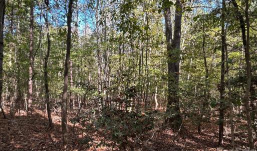 Photo #21 of 5 AC Lot 5 Ernandez, Richburg, SC