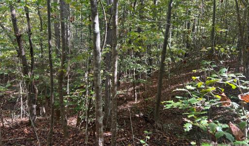 Photo #30 of 5 AC Lot 5 Ernandez, Richburg, SC