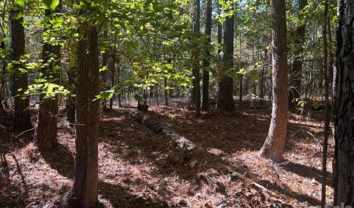 Photo #6 of 5 AC Lot 5 Ernandez, Richburg, SC