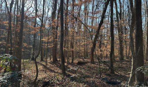 Photo #4 of 1415 Trinity Church, Monroe, NC