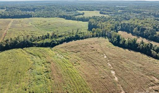 Photo #10 of 9135 US 220 Alternate, Randleman, NC