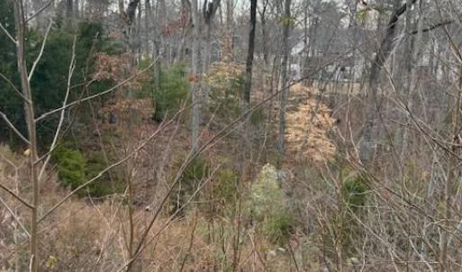 Photo #2 of 5155 Watersail, Clover, SC