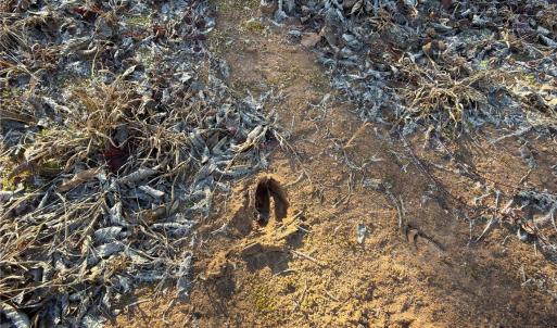 Photo #10 of 1232 Long Farm, Mount Pleasant, NC