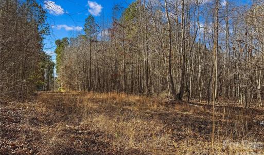 Photo #20 of Morgan, Gold Hill, NC