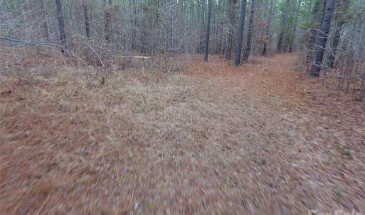 Photo #27 of 734 Great North, Winnsboro, SC