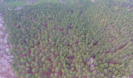 Photo #16 of 734 Great North, Winnsboro, SC