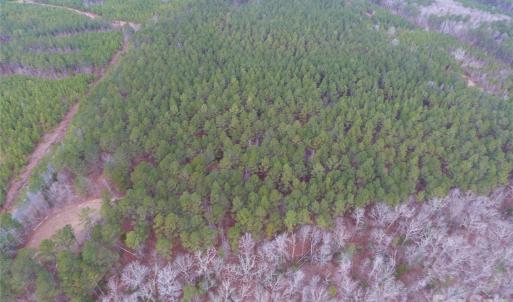 Photo #19 of 734 Great North, Winnsboro, SC