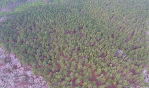 Photo #17 of 734 Great North, Winnsboro, SC