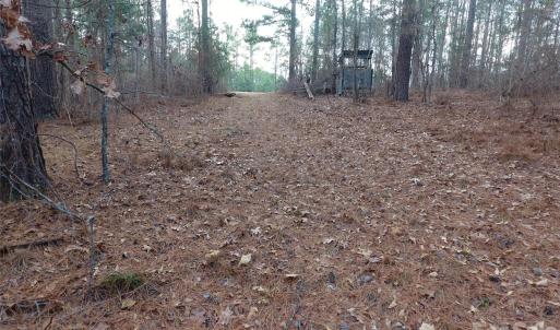 Photo #29 of 734 Great North, Winnsboro, SC