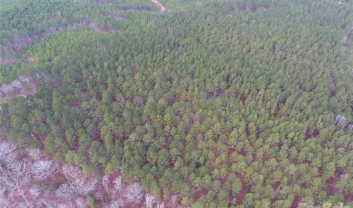 Photo #18 of 734 Great North, Winnsboro, SC